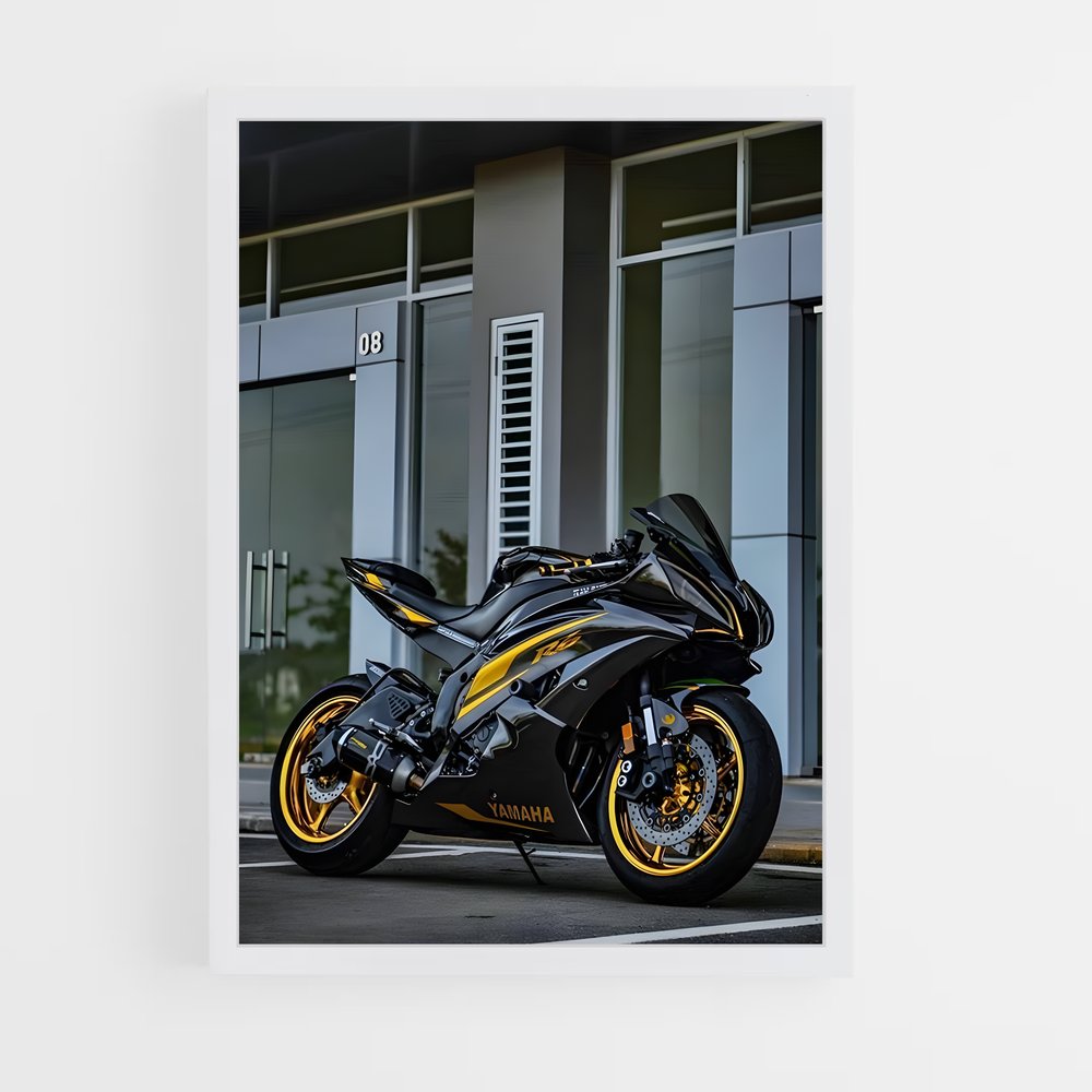 Poster Ninja Éclipsant 400 (vue 3)